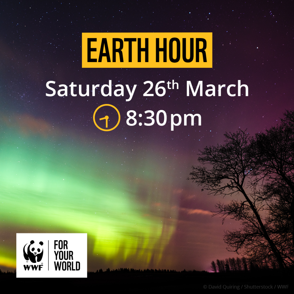 Earth Hour 2022